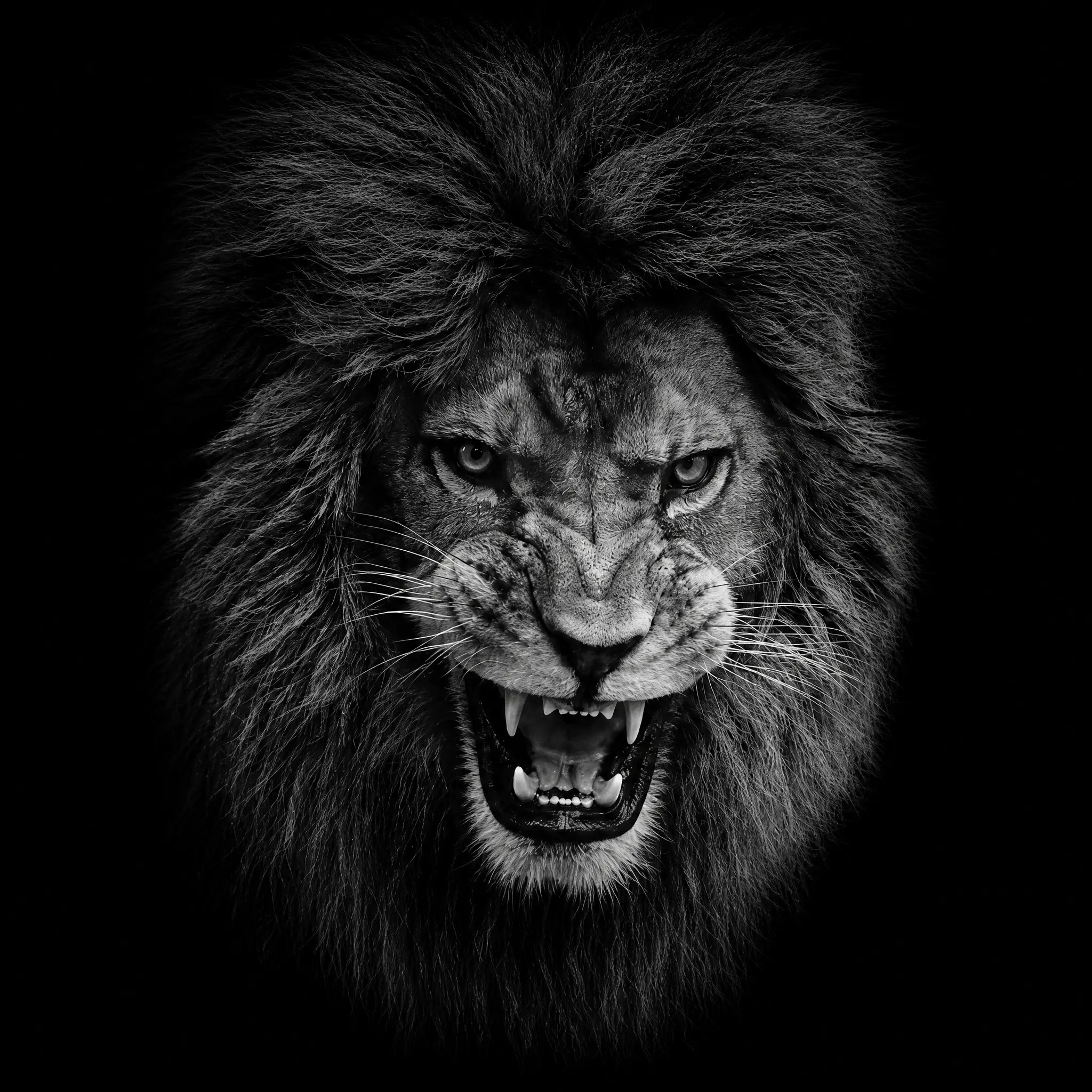 nemean_lion_2.webp